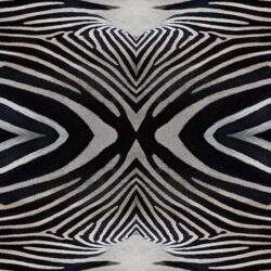 000402 Zebra Flotex Vision