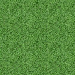 000369 Erba Grass Flotex Vision