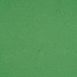 Colorette Lpx  131-006