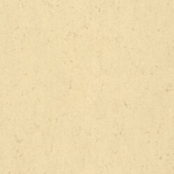 Colorette Lpx  131-140