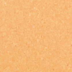 Favorite R10 710-072