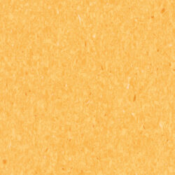 Favorite R10 710-074